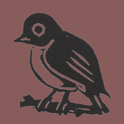 Bird Data Explorer icon