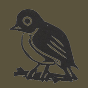 Rare Bird Explorer icon